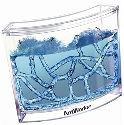 Fascinations ANTW1 AntWorks A Spaceage habitat for ants