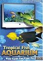 Tropical Fish Aquarium
