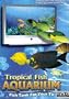Tropical Fish Aquarium