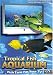 Tropical Fish Aquarium