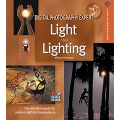 Digital Photography Expert: Light and Lighting: The Definitive Guide for Serious Digital Photographers