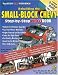  : How to Rebuild the Small-Block Chevrolet: Step-by-Step Videobook (S-A Design Video Workbench)