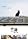 ���L [DVD]