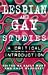 Lesbian and Gay Studies: A Critical Introduction (Lesbian & Gay Studies)
