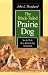 The Black-Tailed Prairie Dog: Social Life of a Burrowing Mammal (Wildlife Behavior and Ecology series)