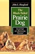 The Black-Tailed Prairie Dog: Social Life of a Burrowing Mammal (Wildlife Behavior and Ecology series)