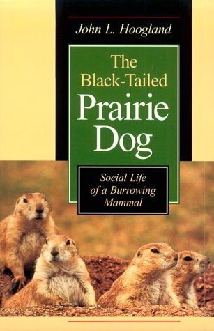 The Black-tailed Prairie Dog: Social Life of a Burrowing Mammal (Wildlife Behaviour & Ecology)