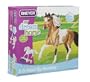 Model Horse 3-D Paint By Number Kit�