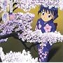 Ai Yori Aoshi: Sakura
