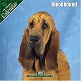 Bloodhound 2007 Wall Calendar