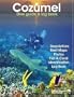 Cozumel Dive Guide and Log Book