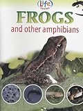 Frogs and other amphibians