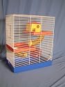 Hamster Hall Small Animal Cage (19 X 12 X 22" Ht)