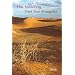 Drei Mal Mongolei: Reisetageb�cher und Briefe aus der Sven-Hedin-Expedition durch die Innere Mongolei