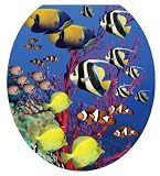 Toilet Tattoos TT-1016-R Coral Reef Decorative Applique For Toilet Lid, Round