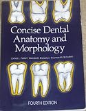 Concise Dental Anatomy and Morphology