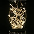 Warm White (Soft White) LED string fairy Lights, Transparent Wire, - Christmas lights
