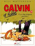 Calvin et Hobbes, tome 20 : Il y a des tr�sors partout !
