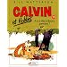 Calvin et Hobbes, tome 20 : Il y a des tr�sors partout !