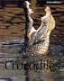 Crocodiles (Animal Ways)