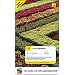 Teach Yourself Portuguese Complete Course with Audio CDs, New Edition (TY: Complete Courses)