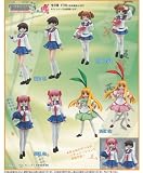 TFC 咲 Saki (Box)イメージ