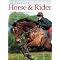 Animal Healing - Equine