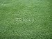 Wallmonkeys Peel and Stick Wall Decals - Rasen im Camp Nou/ Barcelona - Removable Graphic