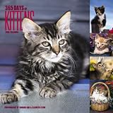 365 Days of Kittens 2006 Calendar
