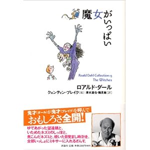 �����������ς� (���A���h�E�_�[���R���N�V���� 13)