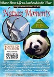 Nature Moments