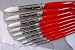 Winsor Newton University Brush- Series 235 Round (Long Handle) Size 5