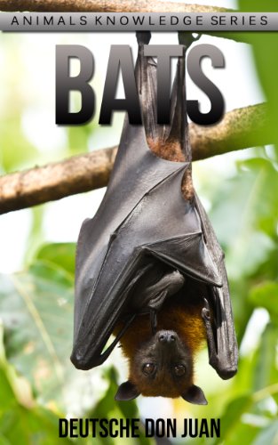 Bats: Beautiful Pictures & Interesting Facts Children Book About Bats (Animals Knowledge Series)