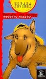Troton, mi perro / Strider (Spanish Edition)