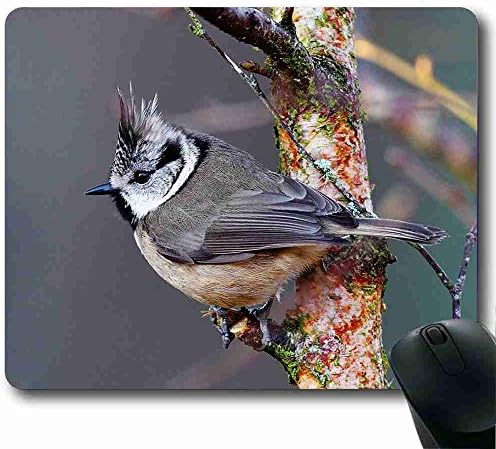 comfortable Suitable for long time work Mouse Pad animal Order Support Ready 8.66 Inch (220mm) X 7 Inch (180mm) Suitable for business people MP027982