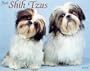 Just Shih Tzus 2008 Calendar