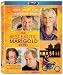 The Best Exotic Marigold Hotel [Blu-ray]