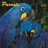 Parrots 2009 Square Wall Calendar