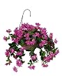 Artificial Orchid/Pink Bougainvillea Hanging Basket
