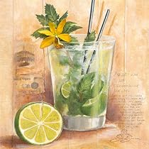 Eurographics K-SSV1027 Sonia Svenson, Mojito 20 x 20 cm, Keilrahmenbild (keine Einrahmung n&ouml;tig) - cocktails