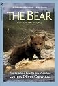 The Bear