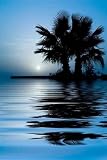 Sweet Sunrise - 24"H x 16"W - Peel and Stick Wall Decal by Wallmonkeys