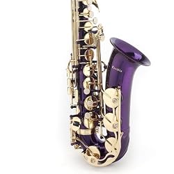 Cecilio Purple Lacquer Body and Gold Plated Keys Alto Saxophone w/ Carrying Case and Accessories
