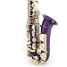 Cecilio Purple Lacquer Body and Gold Plated Keys Alto Saxophone w/ Carrying Case and Accessories
