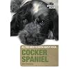 Cocker Spaniel: An Owner's Guide (All You Need to Know About Yr)