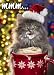 Avanti Plus Christmas Cards, Kitten and Cocoa, 10 Count