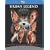 Urban Legend (+ BD Live) [Blu-ray]