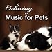 Calming Music for Pets: Gentle Songs to Relax and Calm Down Your Pet Cat or Dog