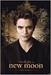 The Twilight Saga: New Moon - Movie Poster (Edward Cullen Solo) (Size: 24" x 36")
