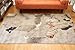 Generations Contemporary Flower Rust Gold Silver White Modern Squares Area Rug Rugs 5'2 x 7'3